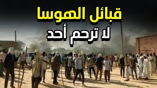 عاجل وهام: أسرار خطيرة لقتال قبائل الهوسا في السودان وما حدث صدم الجميع