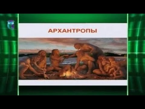 Происхождение человека разумного и пути его эволюции. Антропогенез. Часть 1