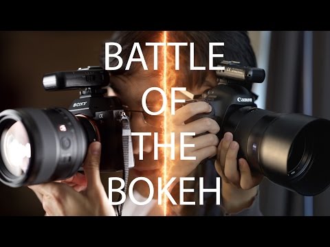 The Battle of the Bokeh: 85mm f/1.4 Zeiss Otus vs Sony GM