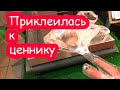 VLOG Растяпа. Не смогли купить подарки