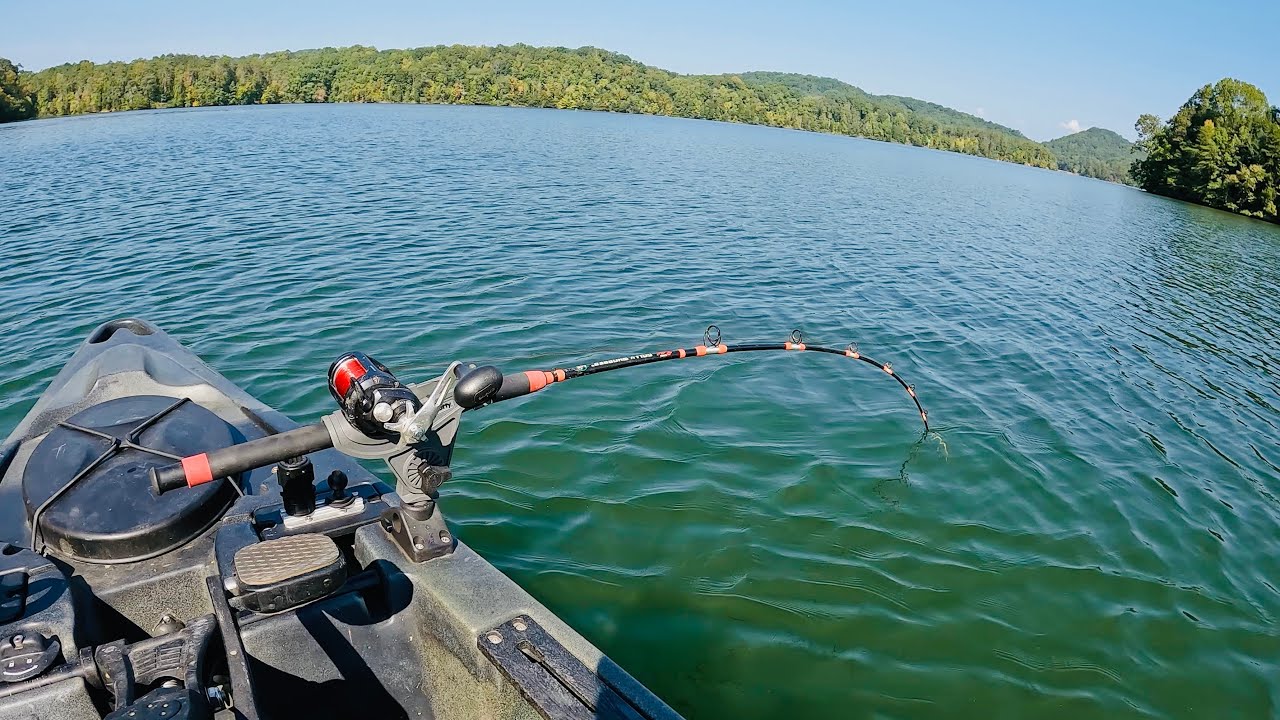 Catch HUGE Catfish With This Simple Setup 