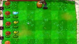 planted discus aquarium Discus Fish Aquatic Plant Package main image 0