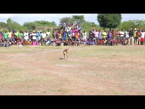 LUNG WECHA ITULI X MADEBE JINASA X INAGA MLYAMBELELE X MIGELEGELE FUPE X NGELELA X Kisuk X Show 2026 