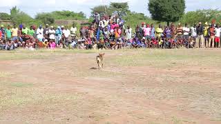 LUNG'WECHA ITULI x MADEBE JINASA x INAGA MLYAMBELELE x MIGELEGELE FUPE x NGELELA x Kisuk x show 2026