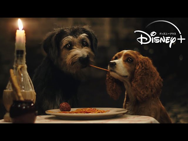 ディズニー わんわん物語 を完全実写化 本物の犬たちが演じる予告映像公開 年6月2日 映画 ニュース クランクイン