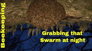Beekeeping: Capturing a Spring Swarm in a Jiffy
