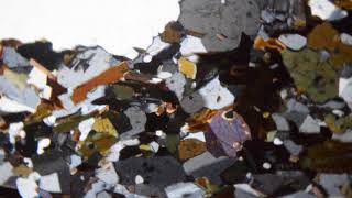 Amphibole-Biotite Micro-Tonalite Thin Section