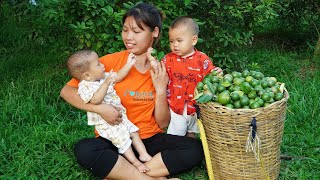 The single mother had no support and raised two children on her own, Harvest lemons go market sell