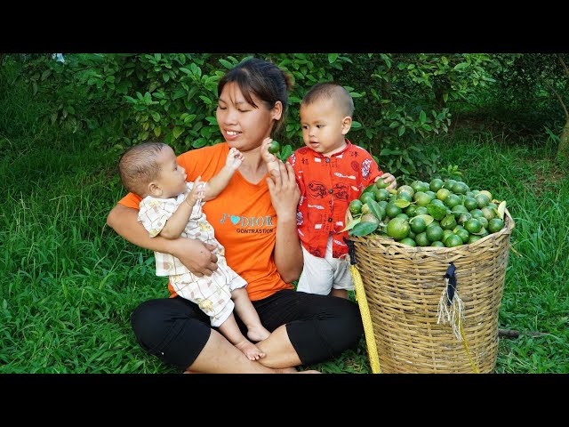 The single mother had no support and raised two children on her own, Harvest lemons go market sell class=