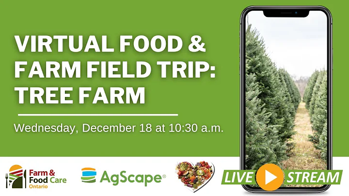 Tree Farm Virtual Food and Farm Field Trip