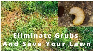 Grub B Gone Max How To Eliminate Grubs and Grub Worms From You Lawn Tips and Tricks From A Pro