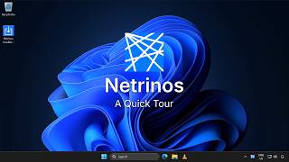 Netrinos Quick Tour: Short Version