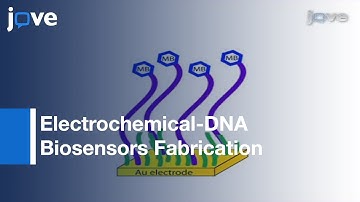 Fabrication: Reagentless Detection Of Nucleic Acids, Proteins & Small Molecules l Protocol Preview