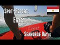 Spotreport seahorse bay zwischen el gouna und hurghada gypten gast bei kiteworldwide kitesurf