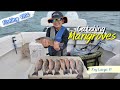 Inshore Mangrove Snapper Fishing In Key Largo With My 9 Year Old Son 