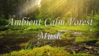 Ambient Calm Forest Music (Art and Music 909)