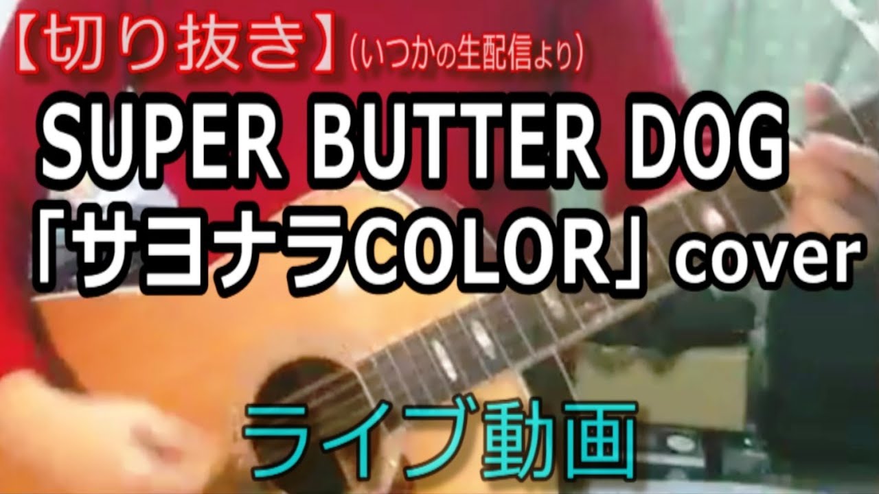 SUPER BUTTER DOG「サヨナラCOLOR」Cover ライブ動画 [切り抜き/895曲目] YouTube