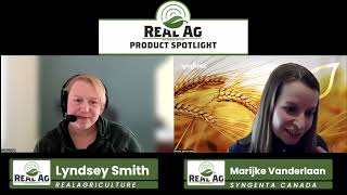 Realag Product Spotlight Make The Most Of Managing Yield With Syngentas Stacked Cereals Line Up