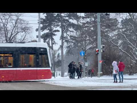 Trip to Vienna for Korean Groceries | Crossing the Border for a Breath of Fresh Air | Goodbye 2025