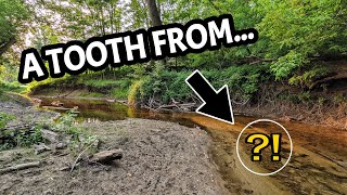 We Found Something... STRANGE While Hunting RARE River Relics and Native American Arrowheads!