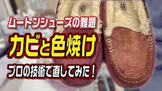ムートンシューズの難題「カビと色焼け」をプロの技術で直してみた！