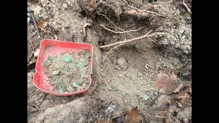 Клад!!!-это УДАЧА! Minelab X-Terra 705 нашёл цель, а пинпоинтер всё там выщипал! Фильм 82. Клад!!!-это УДАЧА! Minelab X-Terra 705 нашёл цель, а пинпоинтер всё там выщипал! Фильм 82.