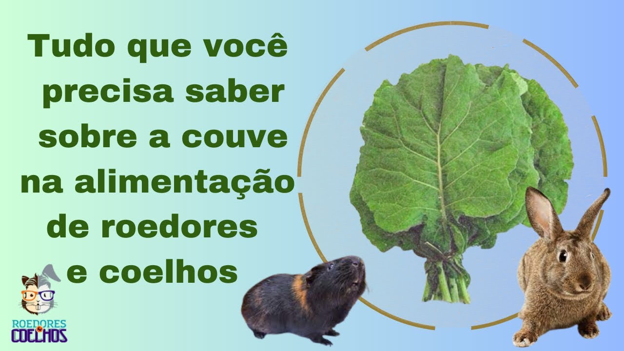 Tudo que você precisa saber sobre a couve na alimentação de roedores e coelhos