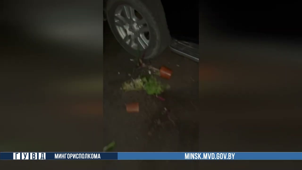 Минчанин сбросил на машину соседа цветочный горшок