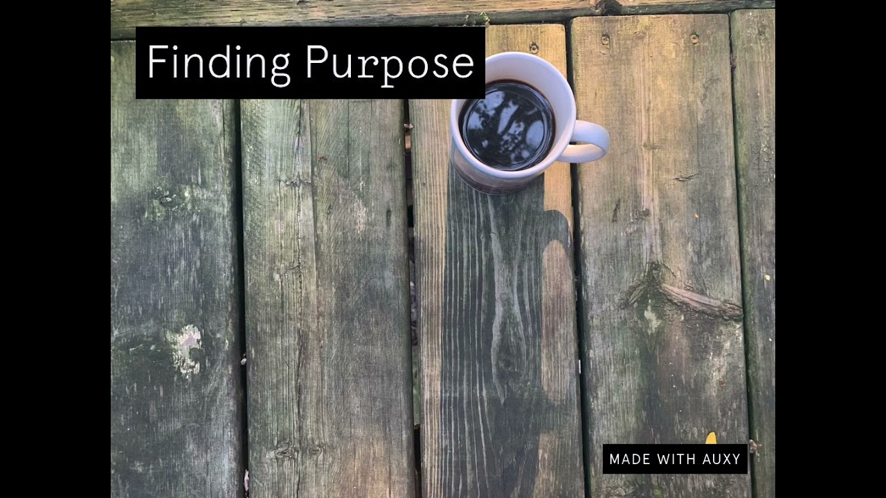 Finding Pu𝚛𝚙𝚘se adlı videoyu YouTube'da izle Finding Pu𝚛𝚙𝚘se adlı videoyu YouTube'da izle