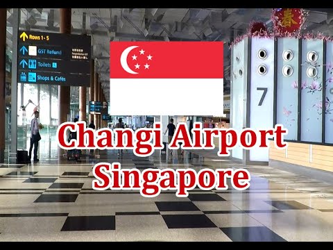 Video: Come trascorrere la tua sosta all'aeroporto di Changi, Singapore