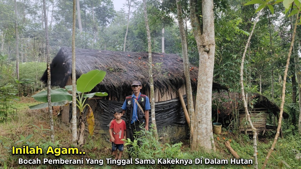 Inilah Agam.. Bocah Pemberani Yang Tinggal Berdua Sama Kakeknya di Pondok Hutan Lereng Gunung