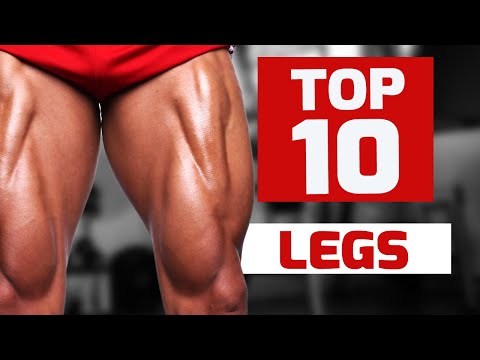 Top Ten Leg Day Exercises