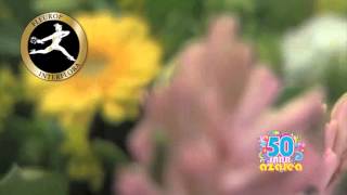 bloemen planten - Halsteren Bloemen Magazijn Azalea