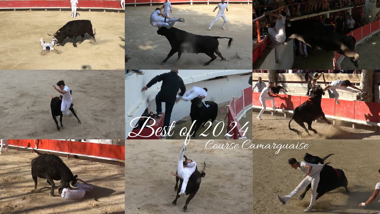 BEST OF COURSE CAMARGUAISE SAISON 2024