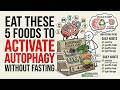 Science Explained: Eat These 5 Foods to Activate Autophagy Without Fasting