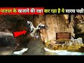 5000 सालों से पाताल गुफा में खजाने की रखवाली कर रहा है ये सारस पक्षी होश उड़ा देगा, Mahadev Chamatkar