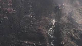 IMG 3336