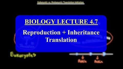 IMAT Biology Lesson 4.7 | Reproduction + Inheritance | Translation