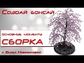 сборка дерева от веточек до ствола