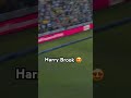 Harry Brook chips for SIX 😍