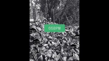 Free Drum Loop - Boom Bap / Lofi Drum Loop - Groovy 65 BPM LOFI Drum Loop