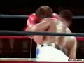 Mike Tyson vs Don Halpin HL 1985