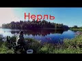 Рыбалка На Нерли. Ловим рыбу в хорошей компании :-)