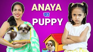 Anaya Ka Puppy | ShrutiArjunAnand