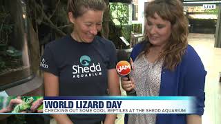 World Lizard Day