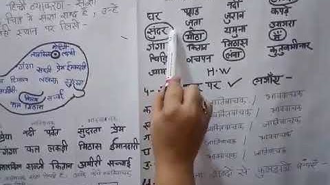 MLZS JHANSI CLASS 4 Hindi Grammar - Sangya Lecture 2