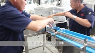 Sierra Leone Carbonated Soft Drink Canning Line for Pet Cans from King Machine screenshot 5