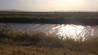 DSCF0048