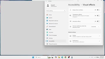 How to Disable Transparency Effects & Animations on Windows 11