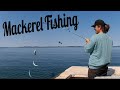 Relaxing Mid-day Mackerel Fishing Break